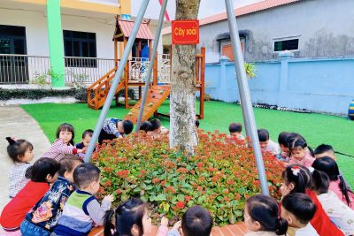 🌸 Tuần mới rực rỡ như những bông hoa trong sân trường 🌸